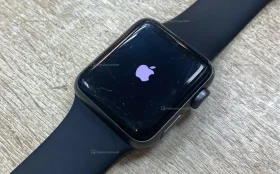 Часы Apple Watch Series 3 40mm