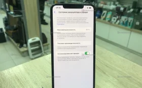 Apple iPhone XS Max 4/256 ГБ