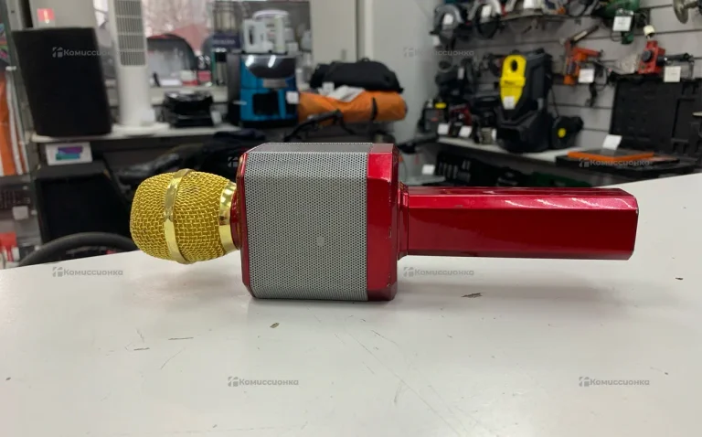 микрафон WSTER WS-1828