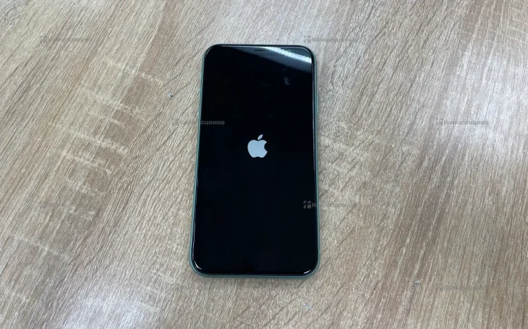 Apple iPhone 11 4/64 ГБ