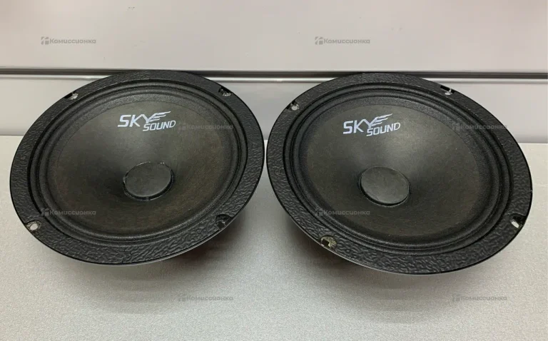 Колонки Sky sound colibri
