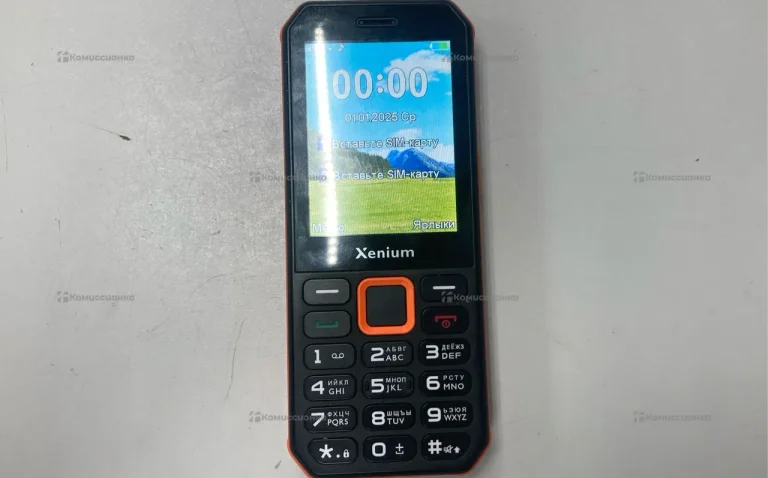 Philips Xenium X300