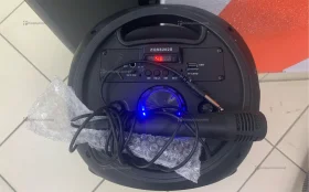 Колонка ZQS8202S