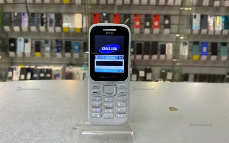 Samsung B310e