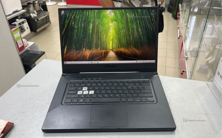 Ноутбук Asus TUF AX201NGW