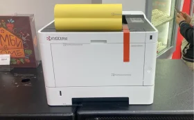 Принтер лазерный Kyocera ECOSYS P2235dn