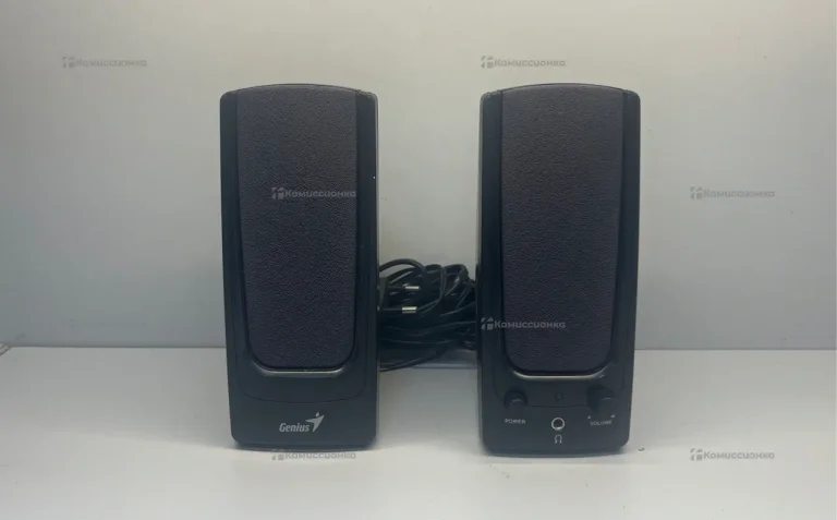 Колонки компьютерные Genius SP-P110