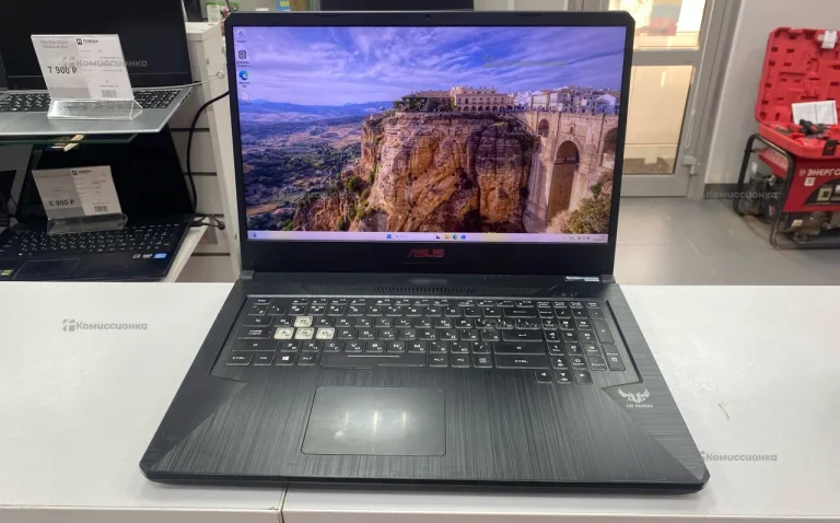 Ноутбук  ASUS FX705D