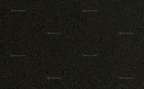 Телевизор Tcl 43C655