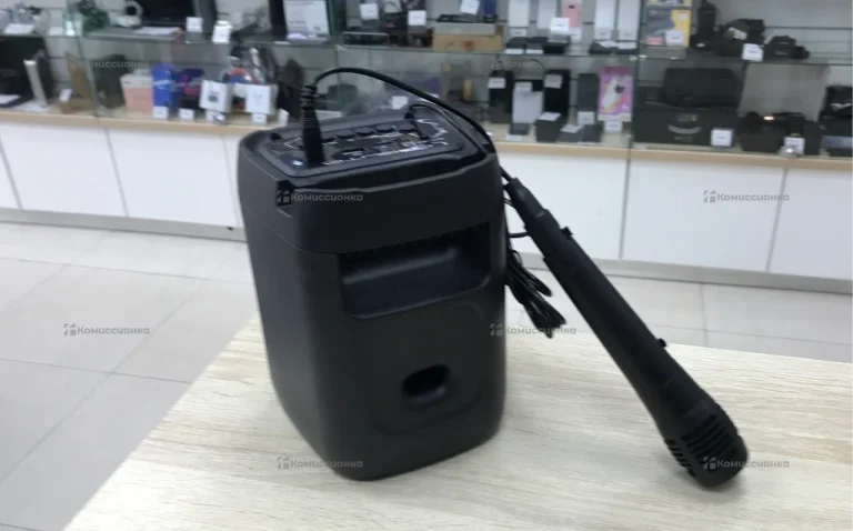 Колонка  с караоке