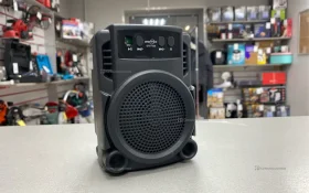 Колонка  GREATNICE GTS-1360