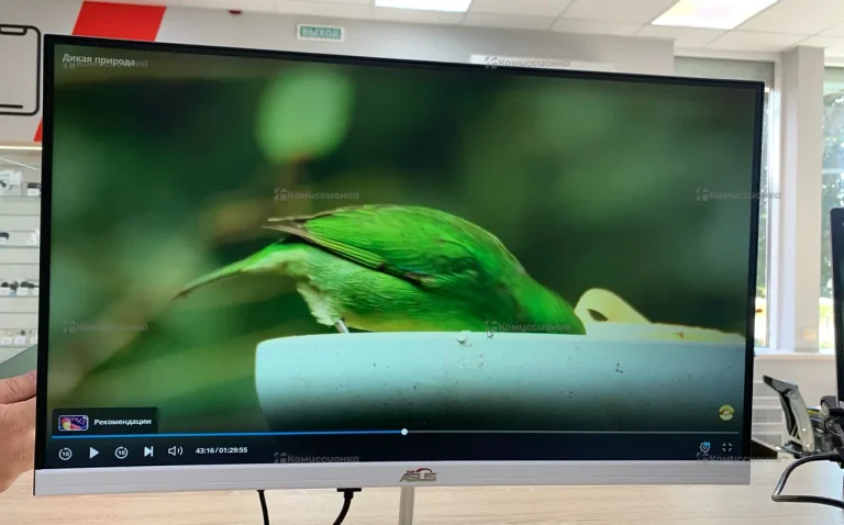 Монитор Asus hom 24