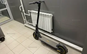 Самокат NINEBOT KickScooter Max