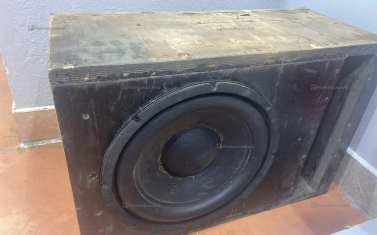 Сабвуфер Magnet 1160g 600w