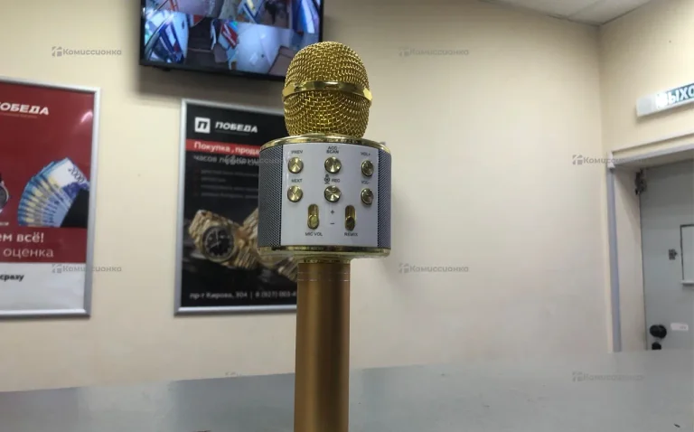 Микрофон караоке wster