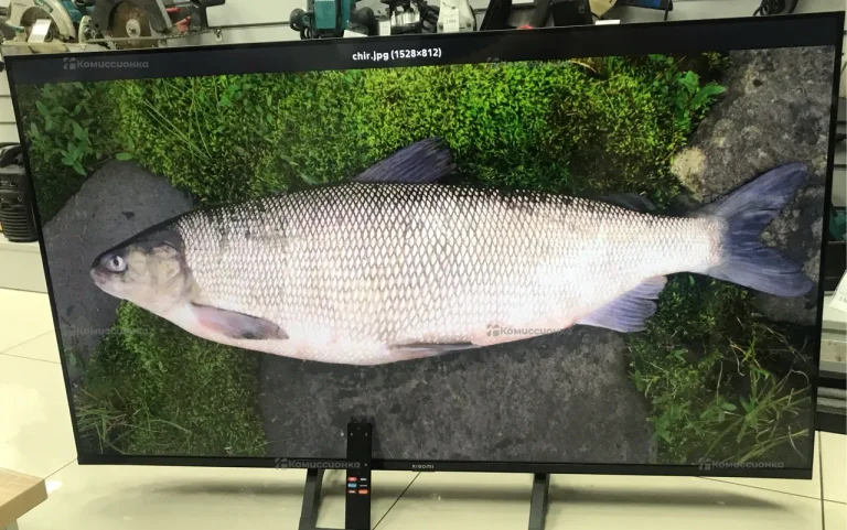 Телевизор Xiaomi Телевизор Xiaomi Mi TV A2 50 L50M