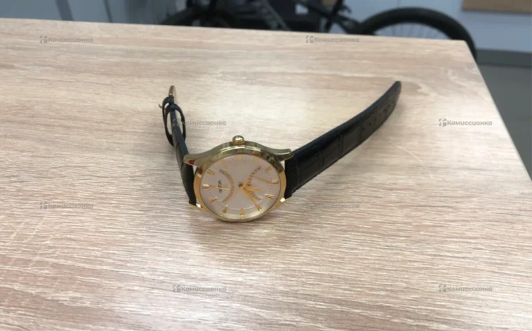 Часы  Gryon g137.21.33