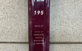 Лыжи Madshus 195 Новые