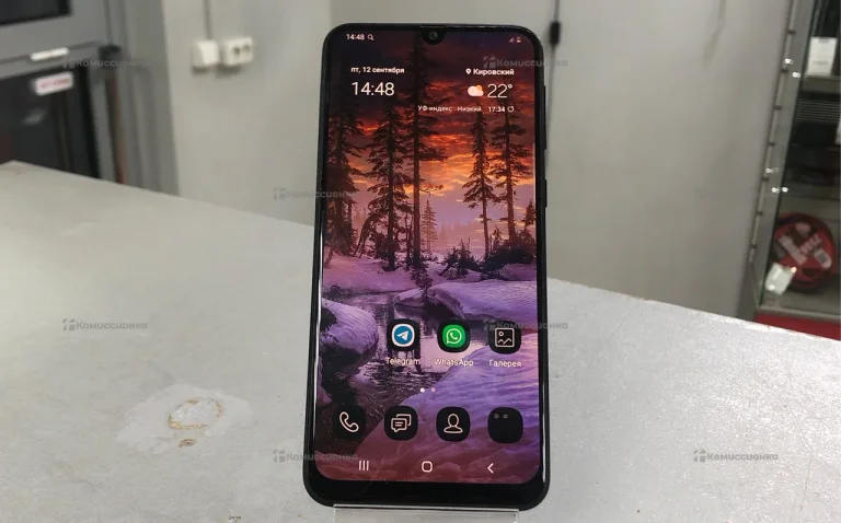 Samsung Galaxy M21 4/64Gb