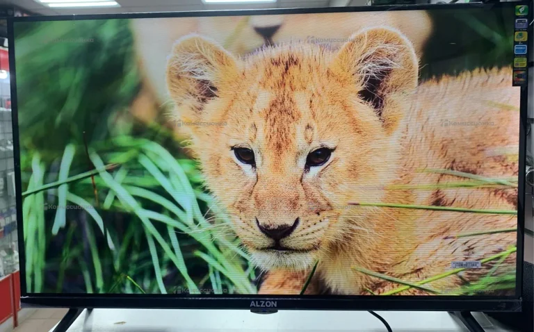 Телевизор Alzon 32 WebOs