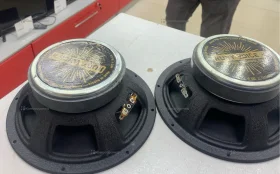 Купить Колонка  Pride Voice 8 б/у , в Саратов Цена:2990рублей