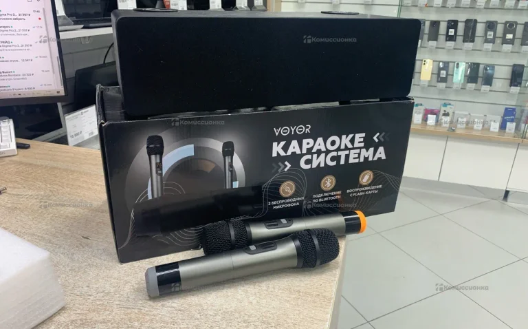 VOYOR Караоке система с микрофонами беспроводными