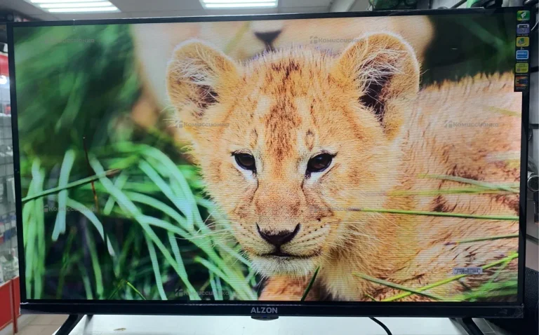 Телевизор Alzon 32 WebOs