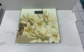 Купить Весы  vicoute б/у , в Набережные Челны Цена:250рублей