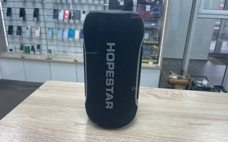 Колонка  HopeStar P65 Pro