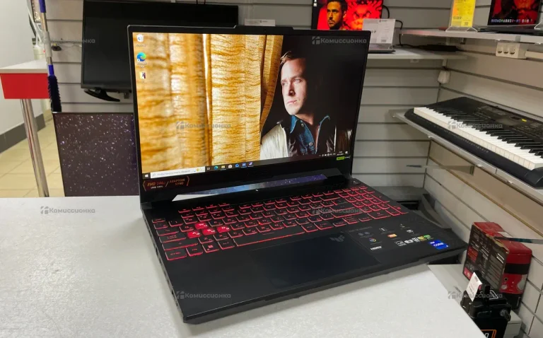 Ноутбук Asus FX507ZU4-LP053