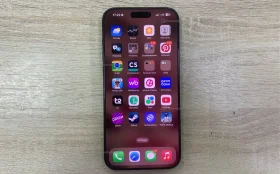 Apple iPhone 16 Pro Max 8/256 ГБ