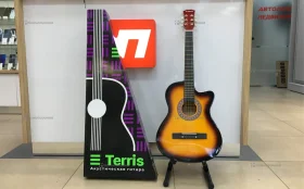 Гитара Terris TF-3802C