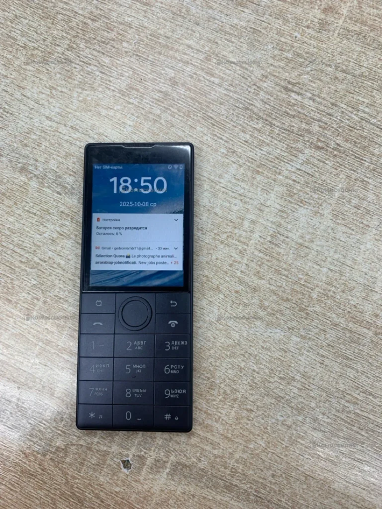 Qin Phone F22