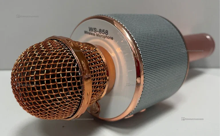 Колонка WS-858