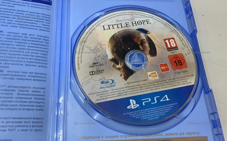 Диск PS4 Little Hope