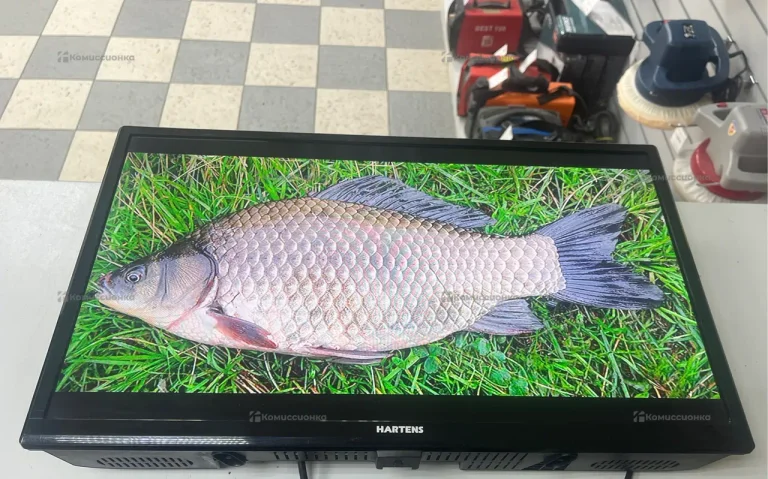 Телевизор HARTENS HTV-24HDR06B