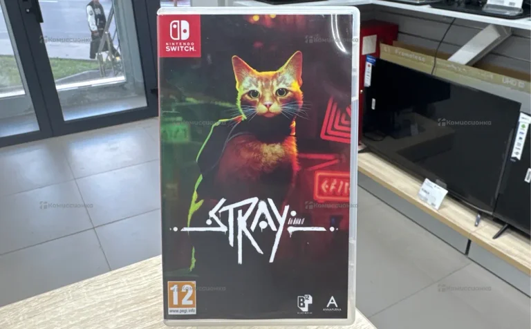 Nintendo stray