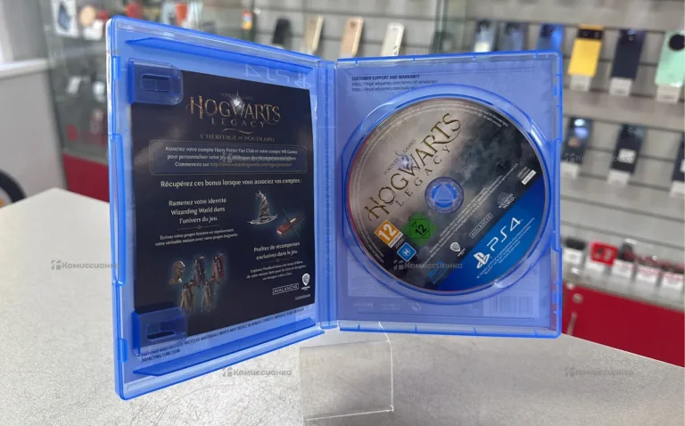 PS4. Hogwarts
