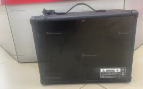 комбо усилитель TG-40R Mic