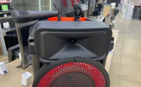 Колонка  ZQS 8803