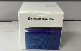 Колонка станция мини про