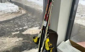 Купить Лыжи Tisa super step 170см б/у , в Москва и область Цена:990рублей