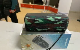 Колонка  hopestar p15