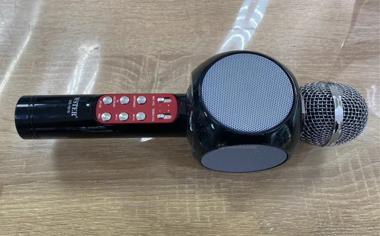 Колонка  микрофон Wster WS-1816