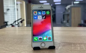 Apple iPhone 5s 1/16 ГБ