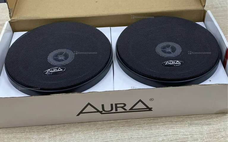 Колонка AURA SX-A655
