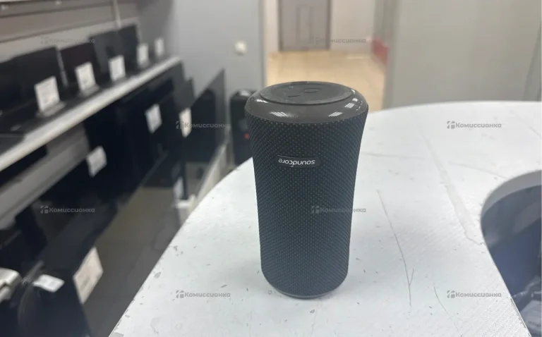 Колонка  Soundcore Flare 2