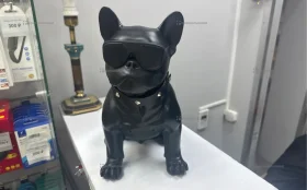 ЧЕРНАЯ СОБАКА В ОЧКАХ