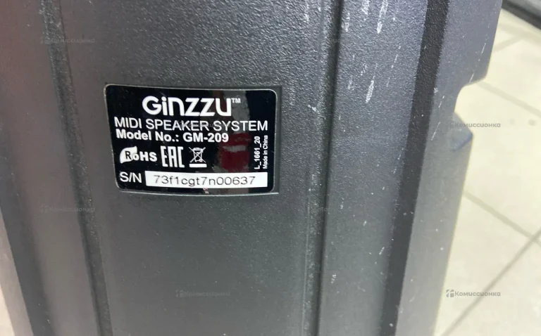 Колонка  Ginzzu