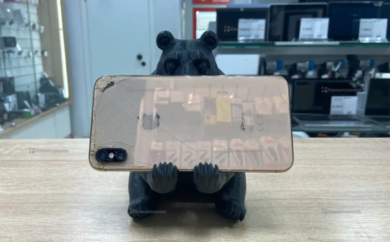Apple iPhone XS Max 4/256 ГБ